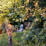 Peneda-gerês - Nature Pool - Garden - Parking Free