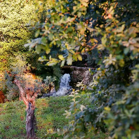 Peneda-geres - Nature Pool - Garden - Parking Free