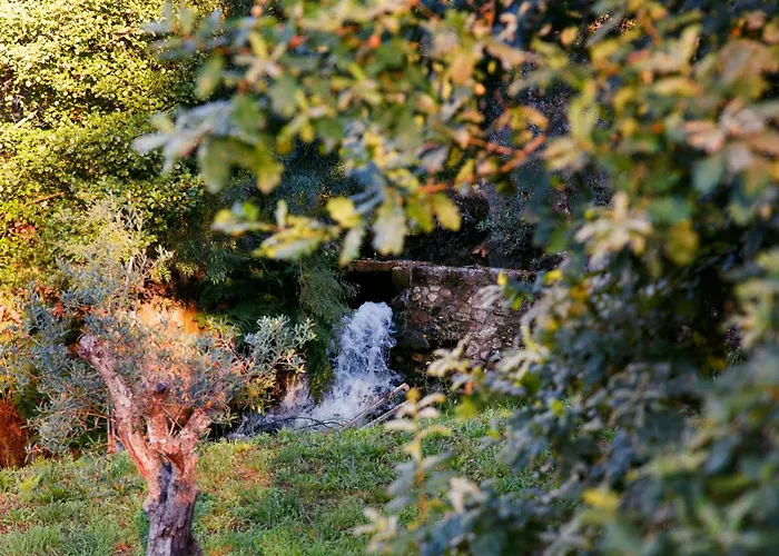 Peneda-geres - Nature Pool - Garden - Parking Free